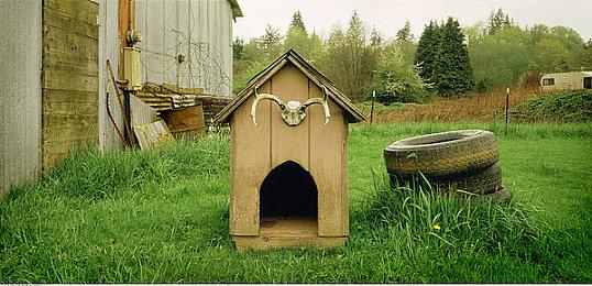 《潜行者2》评分风波：《耻辱》总监炮轰MTC鼓励“安全无聊”游戏